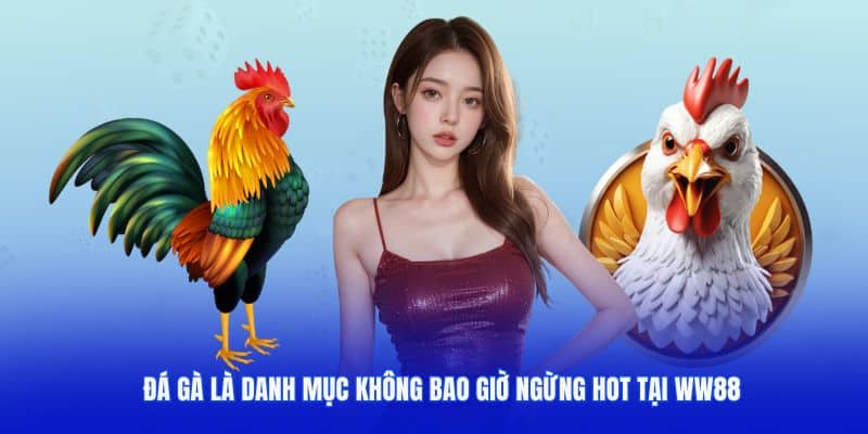 gioi-thieu-ww88-danh-muc-da-ga